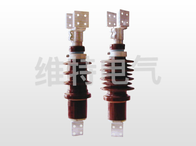 BD(W)-10KV~24KV/4000A~6000A׃׹